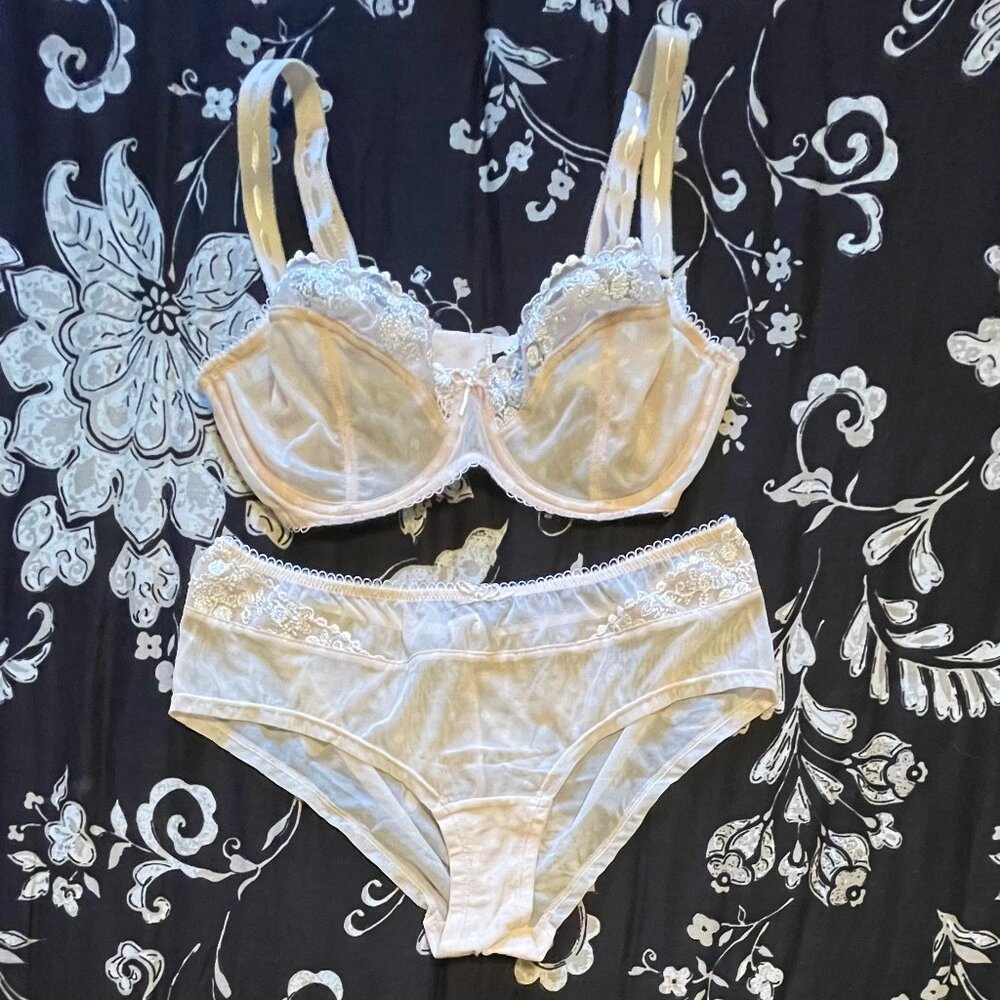 Paramour by FelinaUSA Sweet Revenge Womens 34D underwire sheer bra, M panties